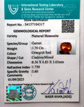 ITLGR_104317_CERTIFICATE.webp