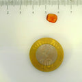 ITLGR_104317_SCALE.webp