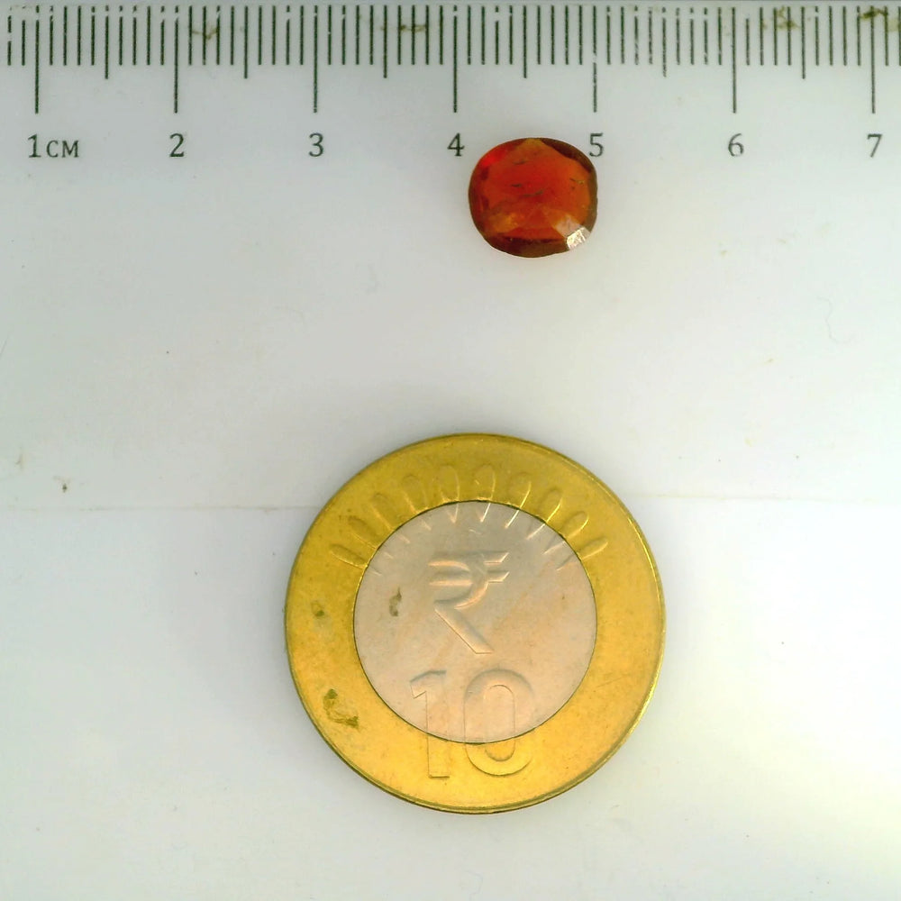 ITLGR_104320_SCALE.webp