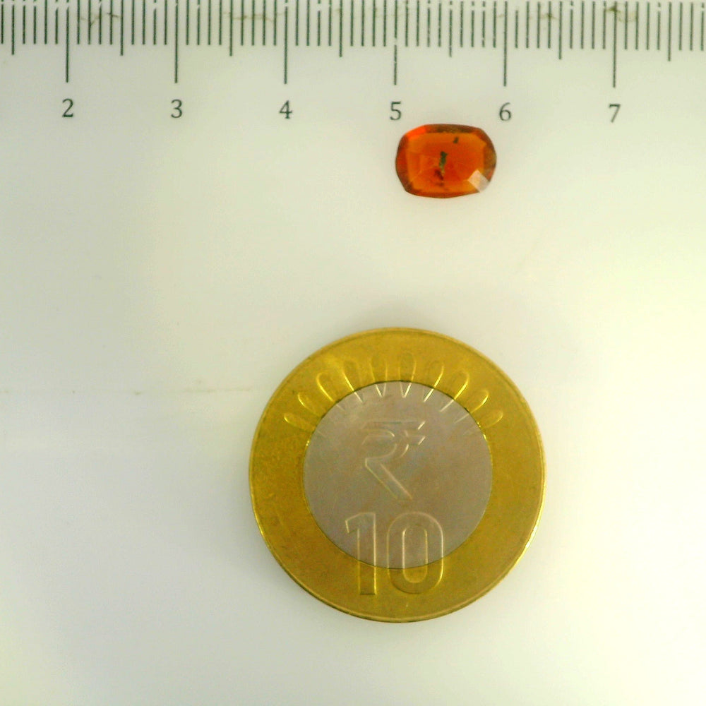 ITLGR_104324_SCALE.webp