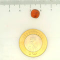 ITLGR_104326_SCALE.webp