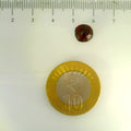 ITLGR_104327_SCALE.webp