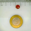 ITLGR_104329_SCALE.webp