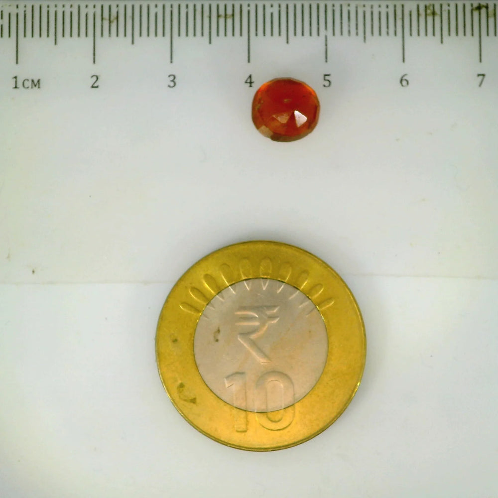 ITLGR_104329_SCALE.webp