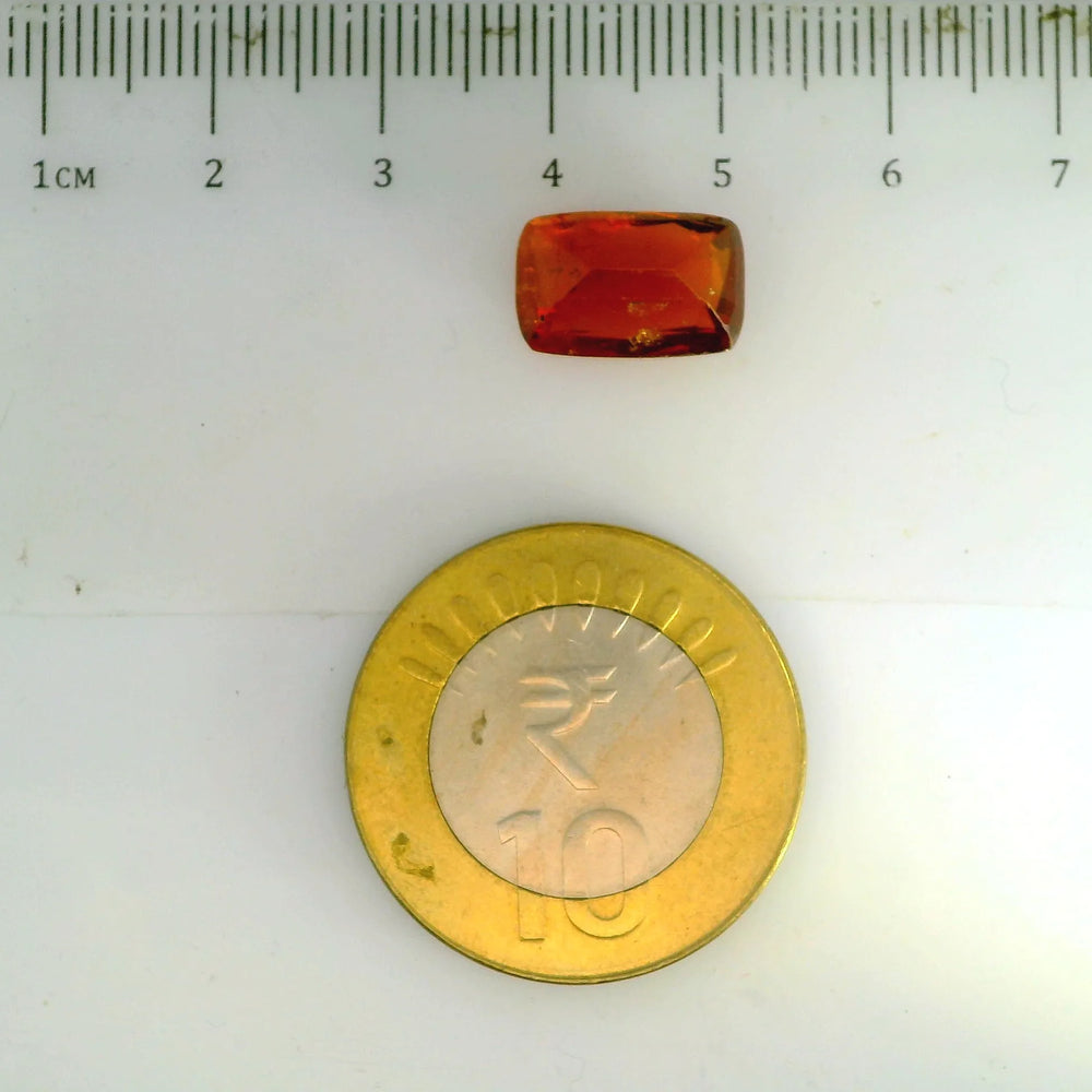 ITLGR_104341_SCALE.webp