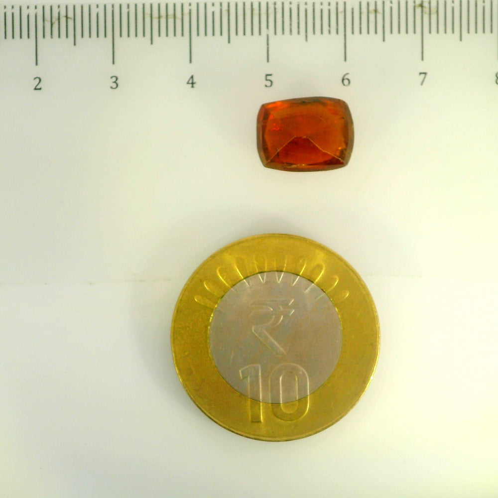 ITLGR_104342_SCALE.webp