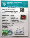 ITLGR_104351_CERTIFICATE.webp