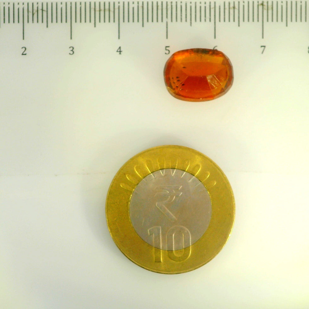 ITLGR_104353_SCALE.webp