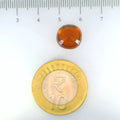 ITLGR_104358_SCALE.webp