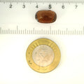 ITLGR_104359_SCALE.webp