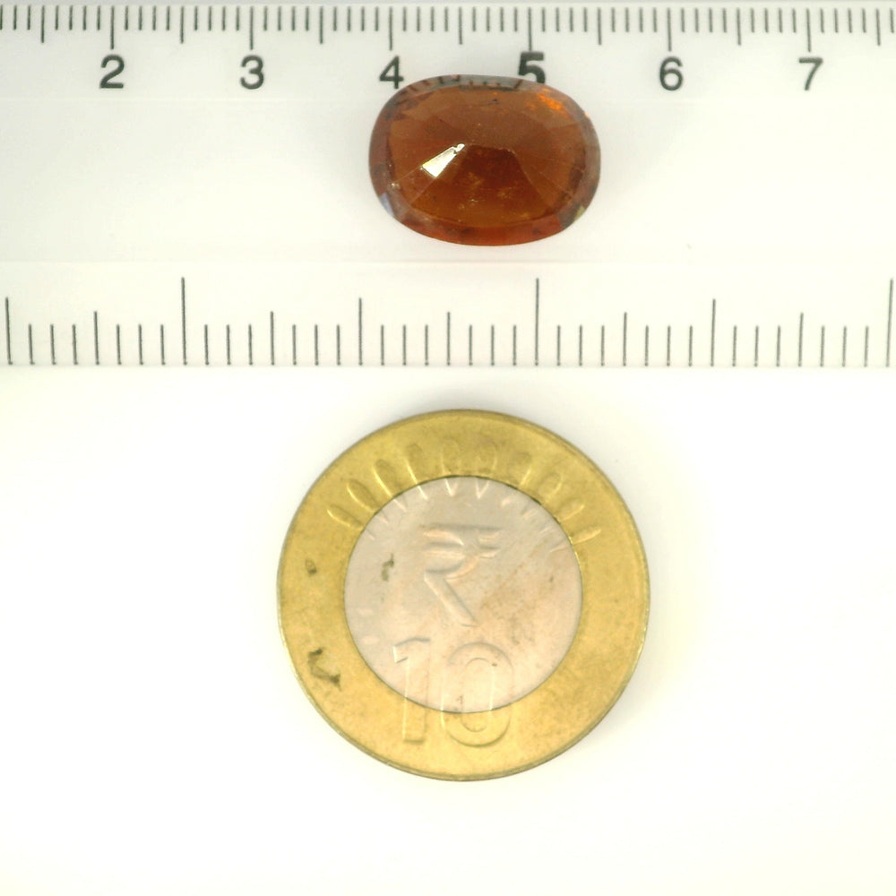 ITLGR_104363_SCALE.webp