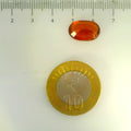 ITLGR_104366_SCALE.webp
