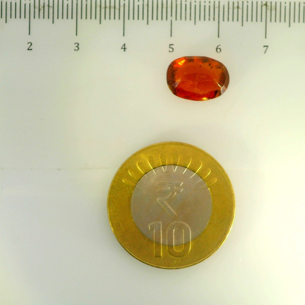 ITLGR_104367_SCALE.webp