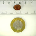 ITLGR_104373_SCALE.webp