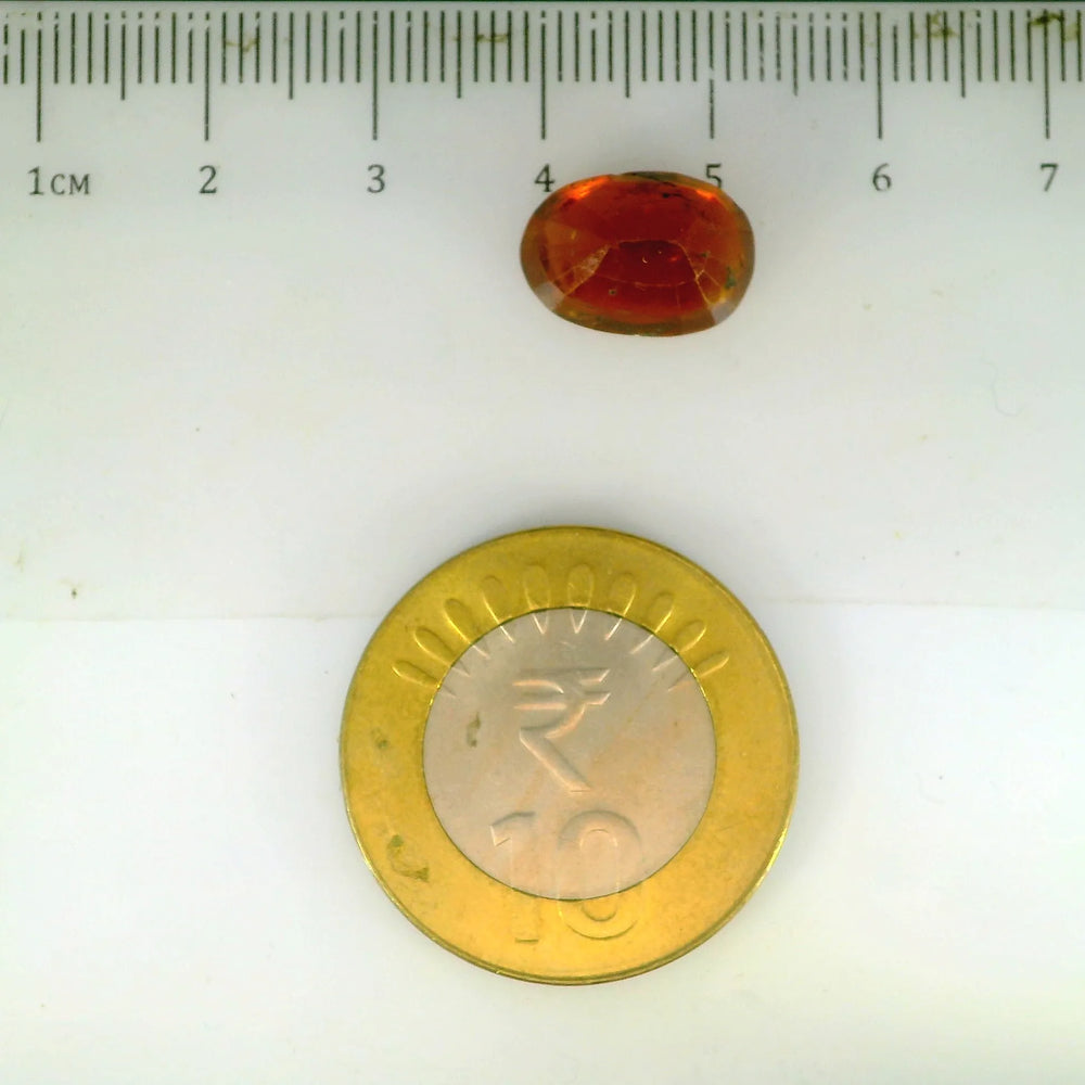 ITLGR_104374_SCALE.webp