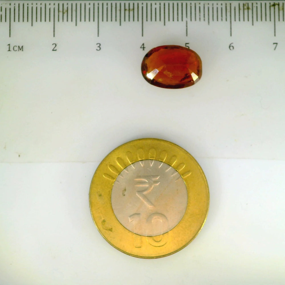 ITLGR_104375_SCALE.webp