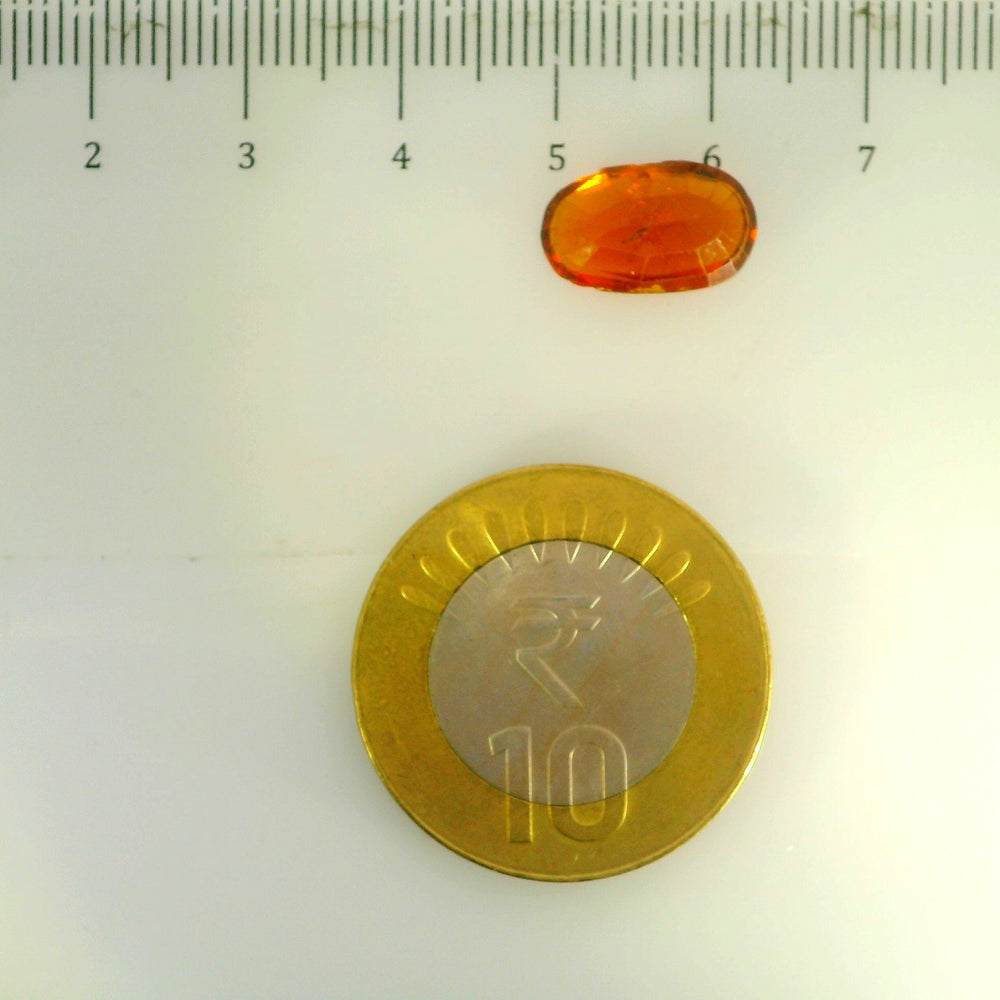 ITLGR_104378_SCALE.webp