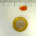 ITLGR_104378_SCALE.webp