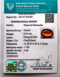 ITLGR_104380_CERTIFICATE.webp