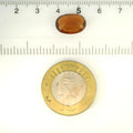 ITLGR_104380_SCALE.webp
