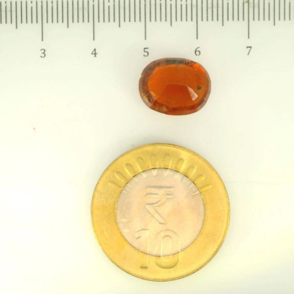 ITLGR_104383_SCALE.webp