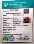 ITLGR_104385_CERTIFICATE.webp