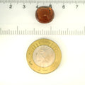 ITLGR_104385_SCALE.webp