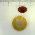 ITLGR_104386_SCALE.webp