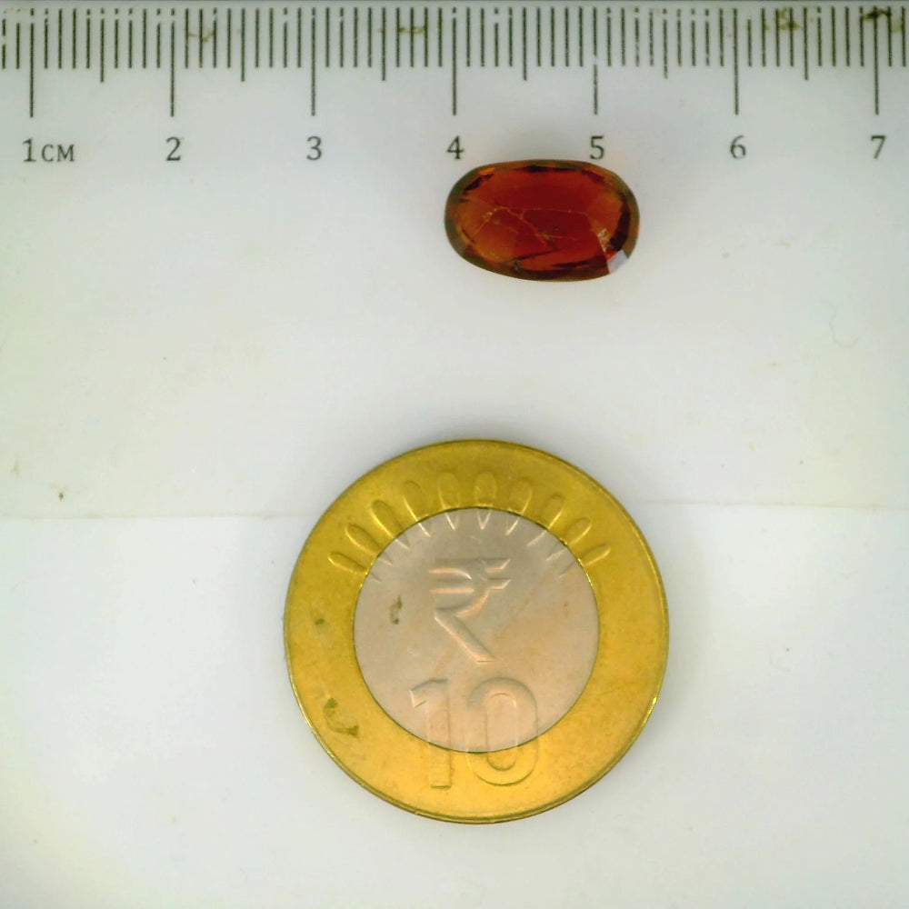 ITLGR_104388_SCALE.webp
