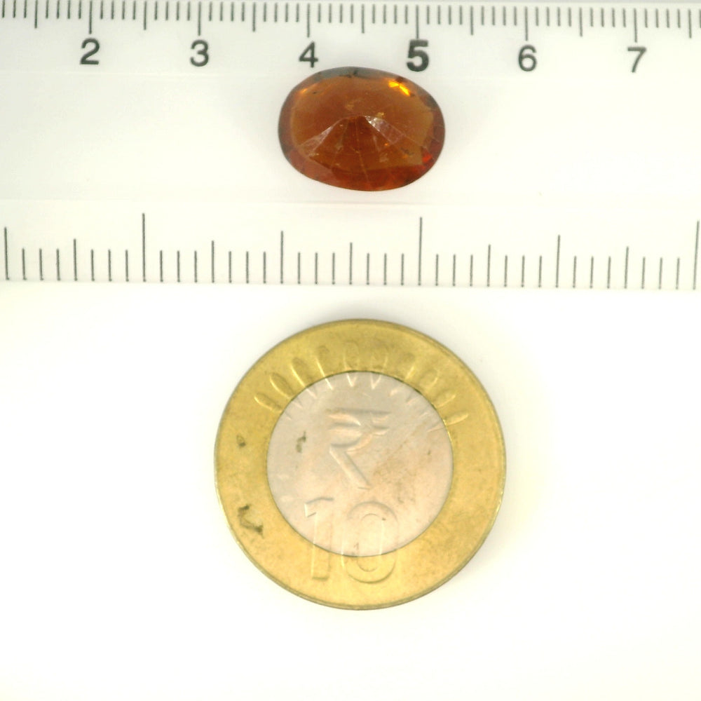 ITLGR_104392_SCALE.webp