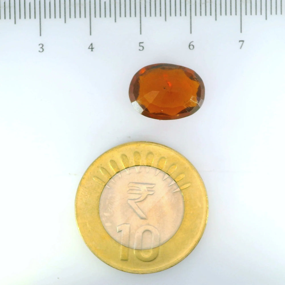 ITLGR_104395_SCALE.webp