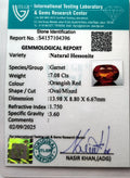 ITLGR_104396_CERTIFICATE.webp