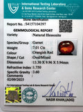 ITLGR_104397_CERTIFICATE.webp