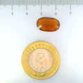 ITLGR_104398_SCALE.webp