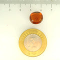 ITLGR_104401_SCALE.webp