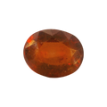 ITLGR_104404_FRONT.png