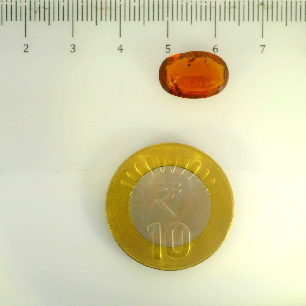 ITLGR_104405_SCALE.webp
