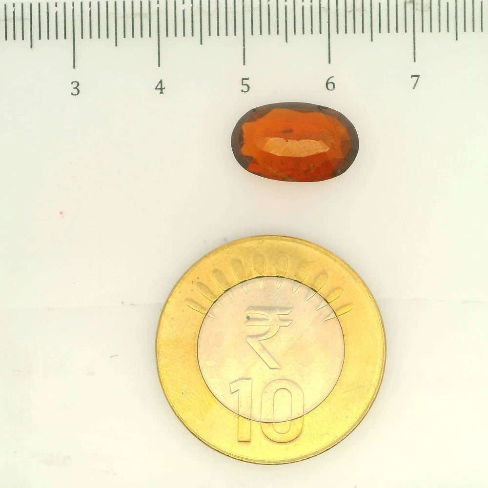 ITLGR_104406_SCALE.webp