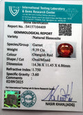 ITLGR_104409_CERTIFICATE.webp