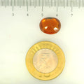 ITLGR_104409_SCALE.webp