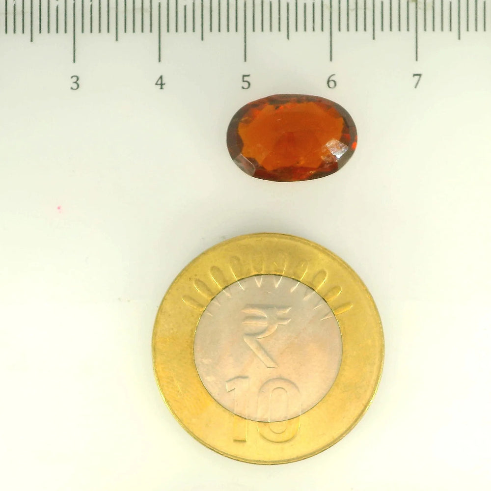 ITLGR_104419_SCALE.webp