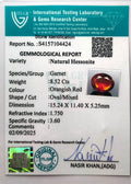 ITLGR_104424_CERTIFICATE.webp
