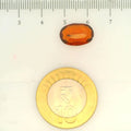 ITLGR_104432_SCALE.webp