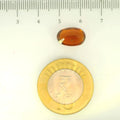 ITLGR_104435_SCALE.webp