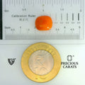 ITLGR_104480_SCALE.webp