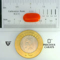 ITLGR_104482_SCALE.webp