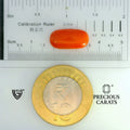 ITLGR_104487_SCALE.webp