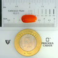 ITLGR_104488_SCALE.webp