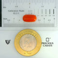 ITLGR_104489_SCALE.webp