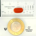 ITLGR_104491_SCALE.webp